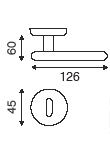 sections