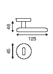 sections