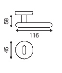 sections
