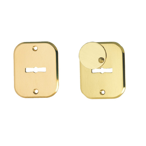 Pair rectangular escutcheon 50x63 mm CRS   